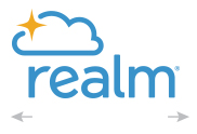 realm logo