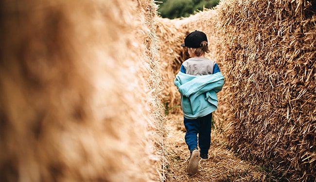 child in fall maze