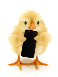 Easter social media