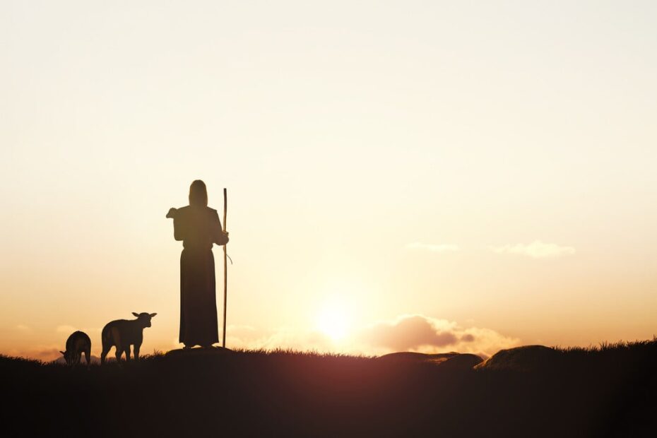 jesus with sheep