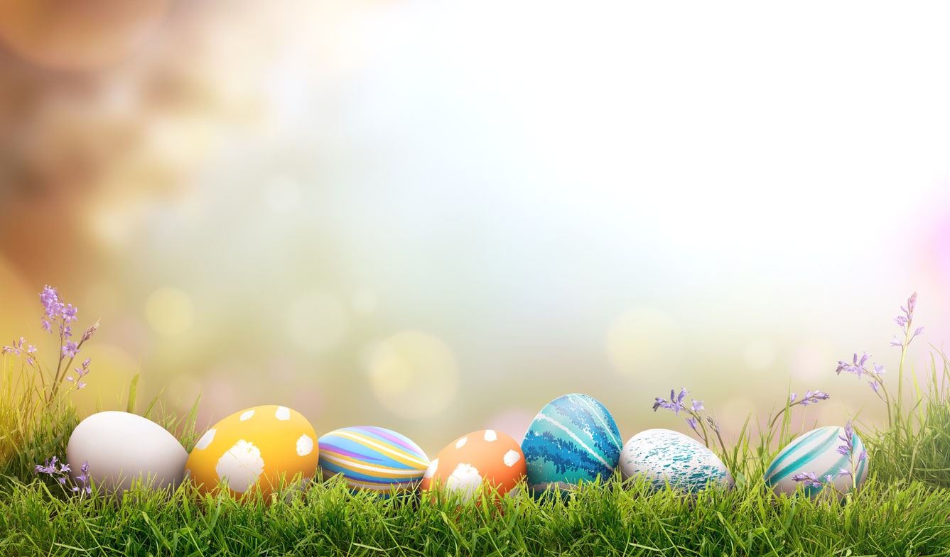 easter eggs laying in grass