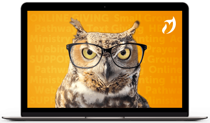 owl wearing glasses