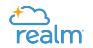 Realm logo