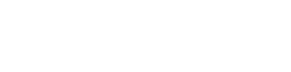missioninsite logo white