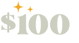$100 icon