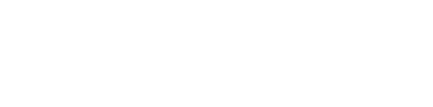 Capital Campaign Structure