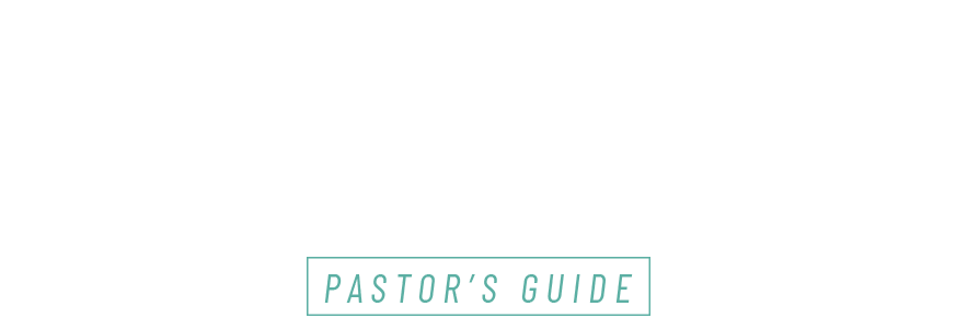 Capital Campaign Structure Pastors Guide